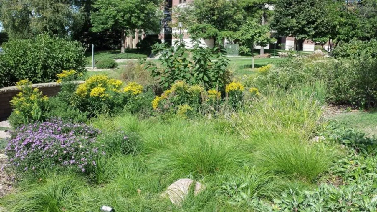 Professional landscaping at Round Rock TX home